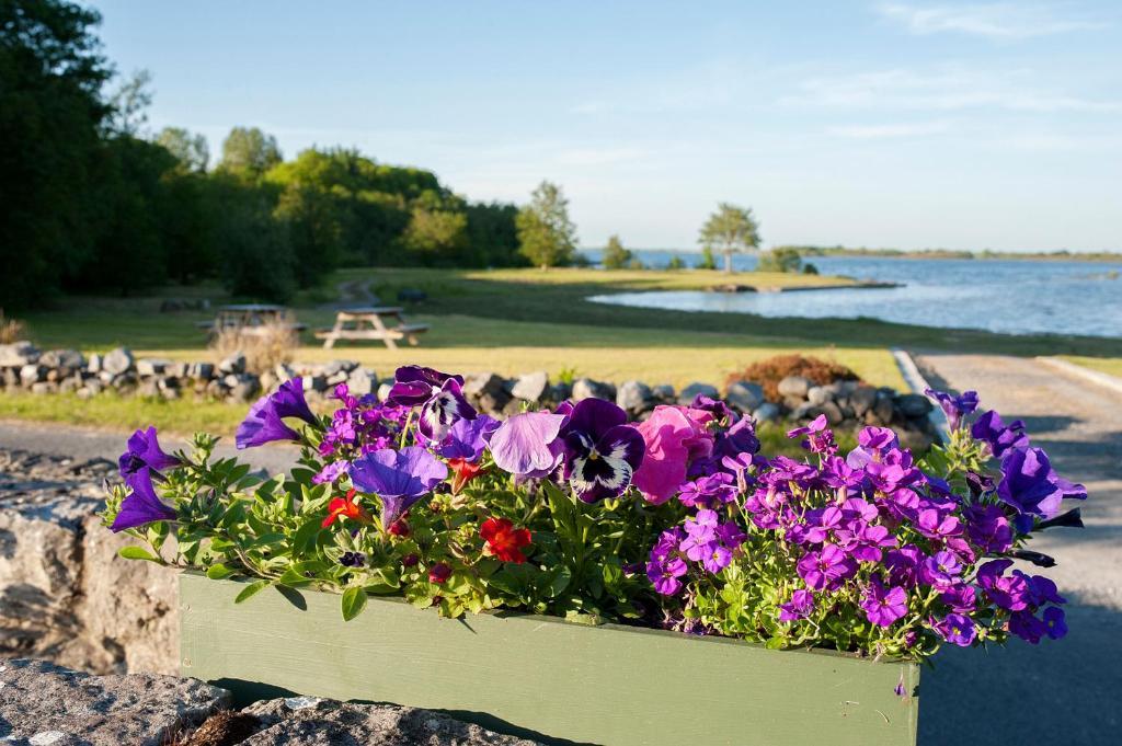 The Waterfront House Country Home Oughterard Exterior photo